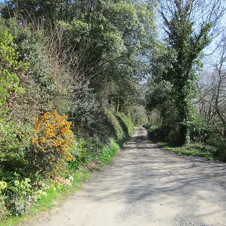 Higher Coombe Bovey Tracey Esterno foto