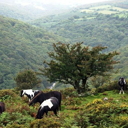 Higher Coombe Bovey Tracey Esterno foto