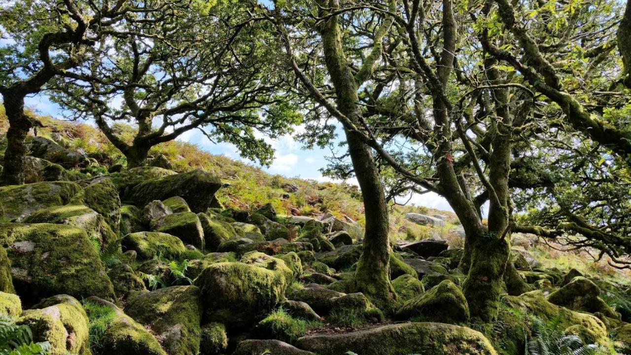Higher Coombe Bovey Tracey Esterno foto