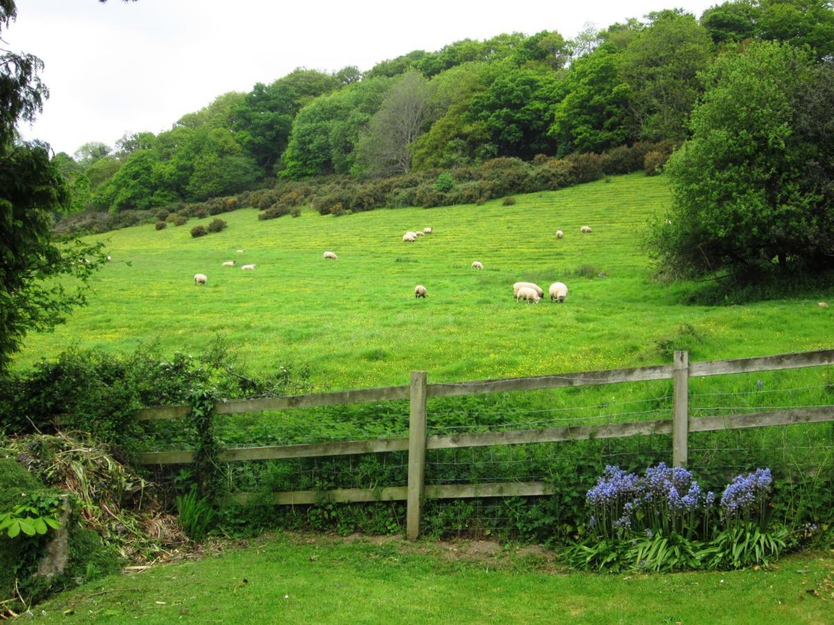 Higher Coombe Bovey Tracey Esterno foto
