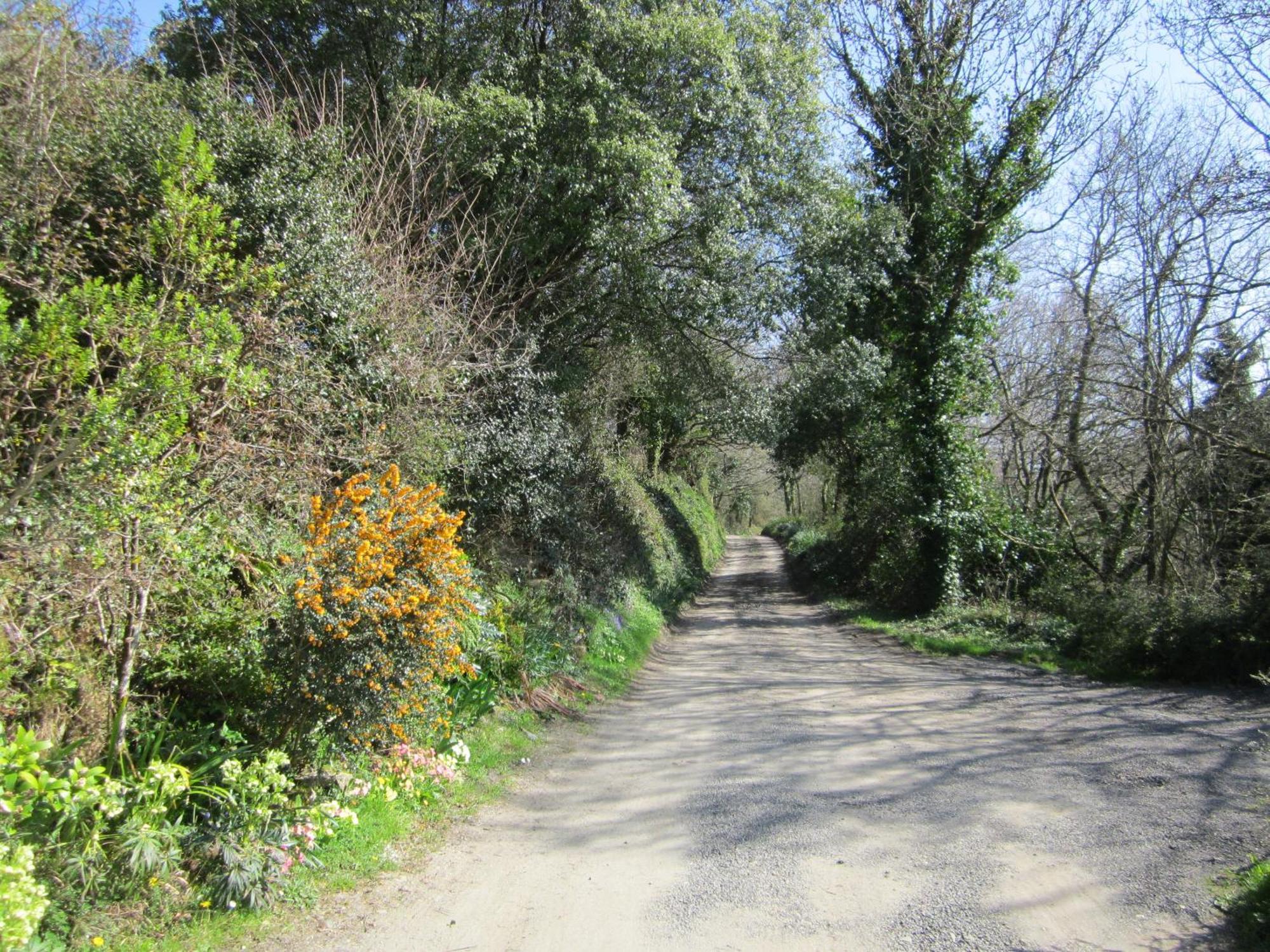 Higher Coombe Bovey Tracey Esterno foto