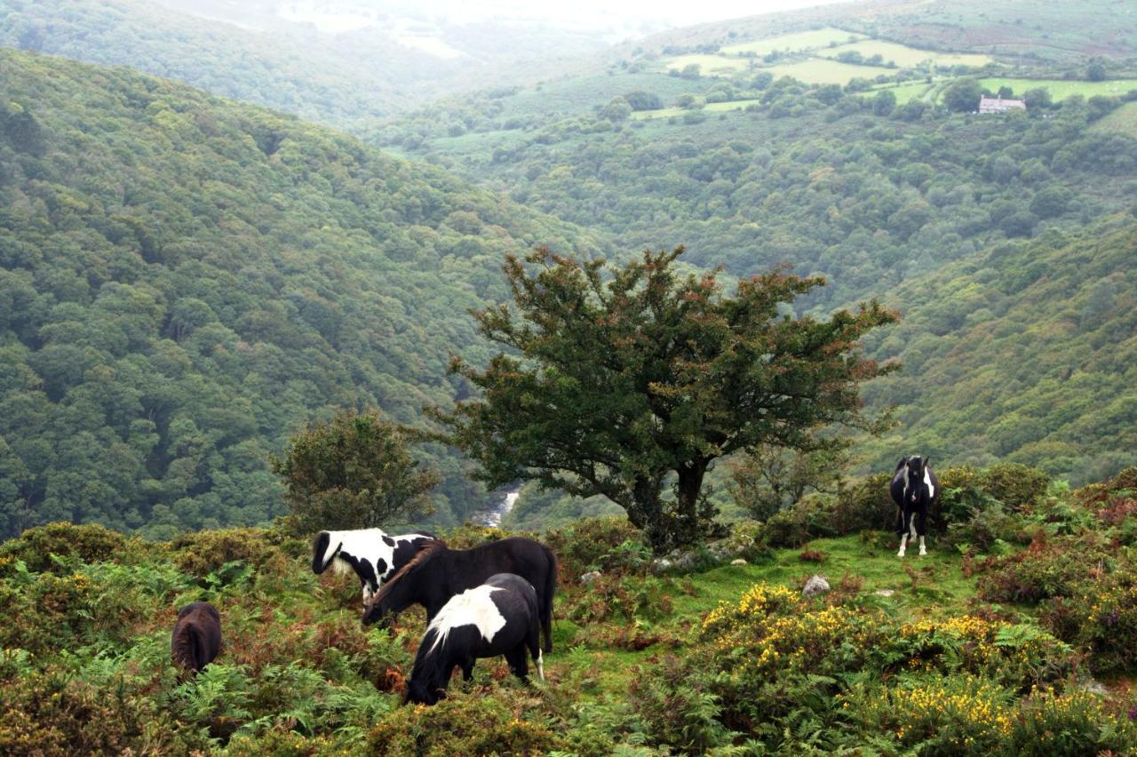 Higher Coombe Bovey Tracey Esterno foto